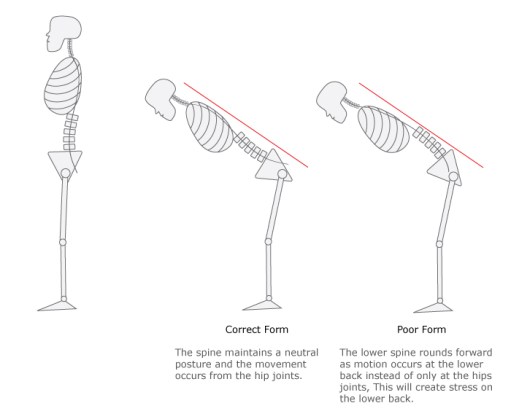 Hip-Hinge-Graphic